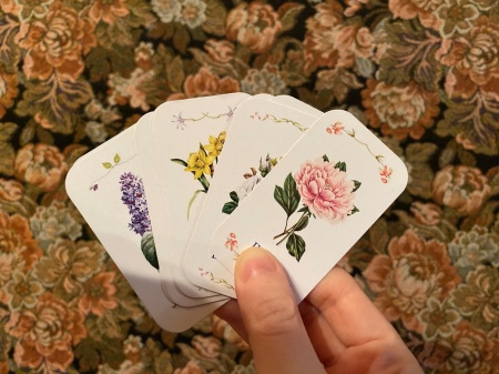 Игра «Какой я цветок?»
